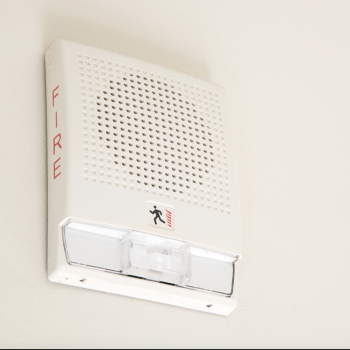 Ekran Resmi 2025-08-30 11.29.08